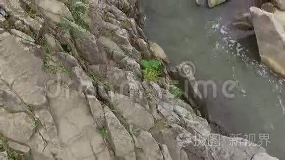 山河流经绿色森林视频