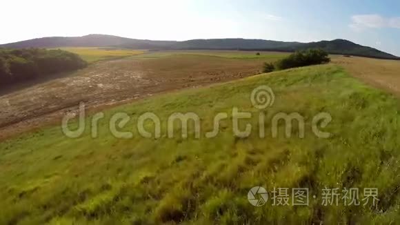 肥沃土地上放牧动物的鸟瞰图视频