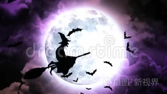 紫色天空中的万圣节蝙蝠和女巫