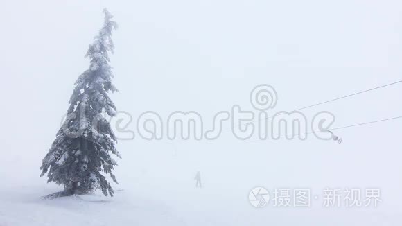 冬天的树在雪下视频