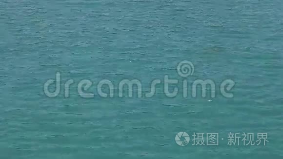 波浪在蓝色的水上视频