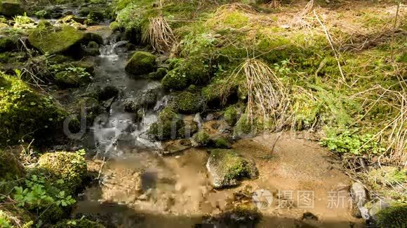 瀑布落在森林里的小山河上视频