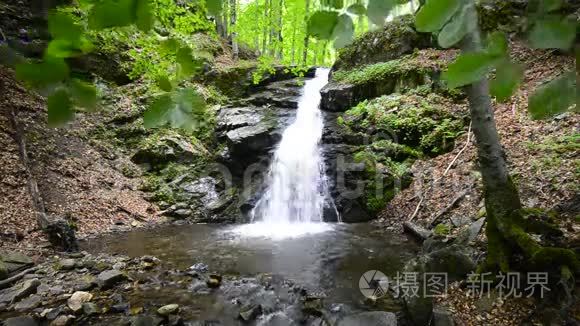 热带天堂的瀑布视频