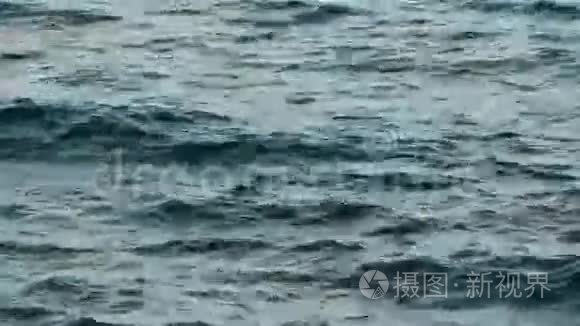 超高清冲浪视频视频