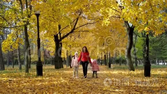 秋天公园的家人视频