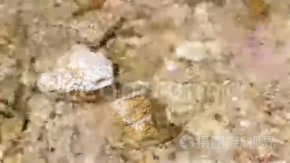 爱琴海清澈的海水冲刷着岩石视频
