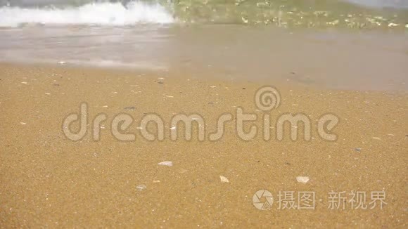 在阳光明媚的夏日沙滩上浪视频