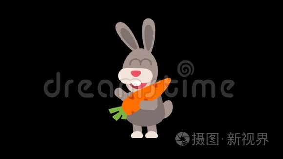 兔子搞笑动物角色中国园艺视频