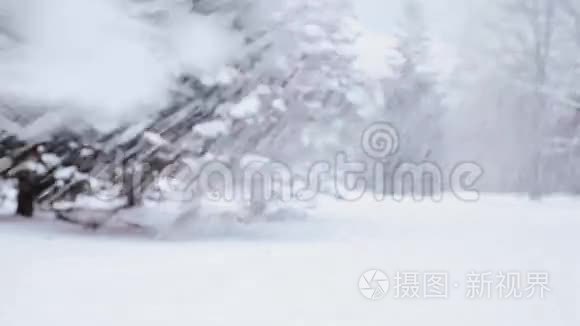 快乐的朋友在冬天玩雪