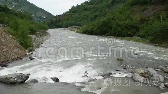 森林中的山叶和荒野中视频