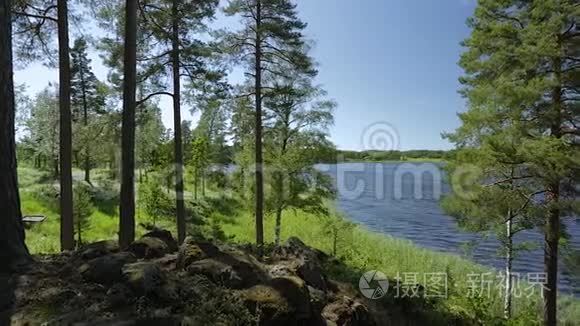 透过高大的树木欣赏美丽的湖景。 绚丽的自然景观背景.. 瑞典，