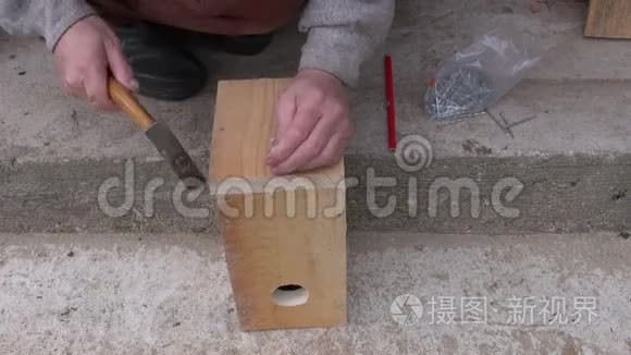 用锤子钉在新的木制鸟窝里视频