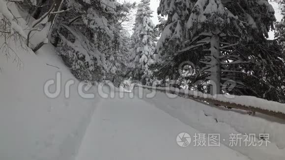 斯洛伐克森林里的雪。 森林里的雪道