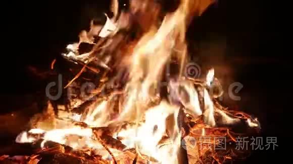在森林的营火上燃烧着火焰视频