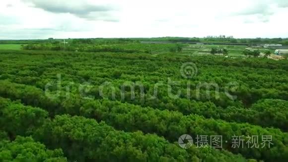 佛罗里达家园农田空中录像视频