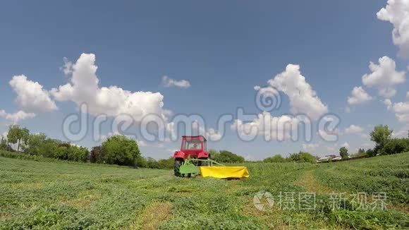 夏日电影的收获时光视频