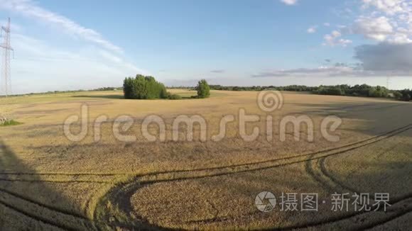 农场夏末农田带小麦，鸟瞰