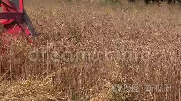 夏季老联合收割机收割成熟的麦田