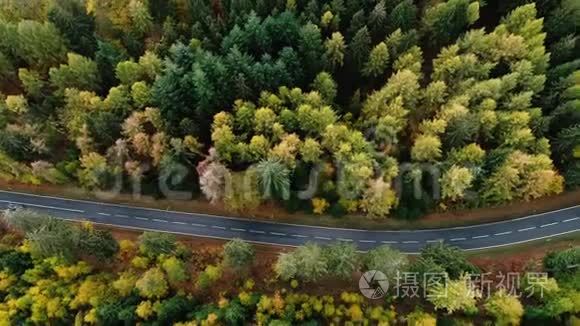 穿越秋季森林的道路-鸟瞰图