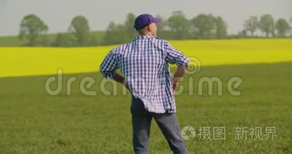 微笑成熟的农民审视农业领域视频