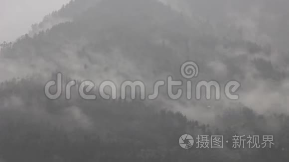 雾中的山林视频