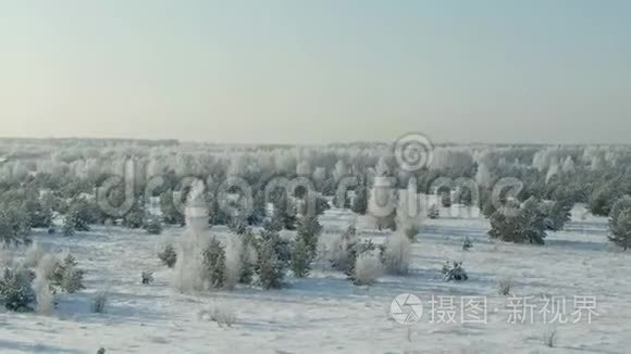 冬天，田野里覆盖着雪. 鸟瞰：冬季景观乡村，森林，田野.. 冬季