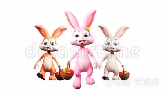 复活节兔子走路带彩蛋篮视频