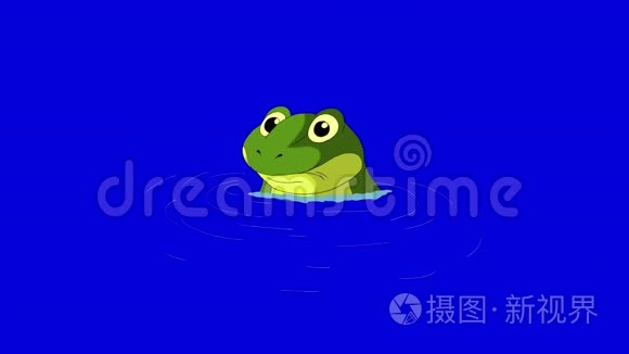 青蛙潜入蓝屏隔离的水中视频
