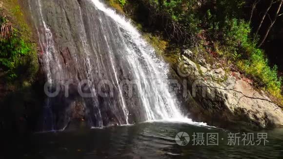 野生自然中的瀑布景观视频