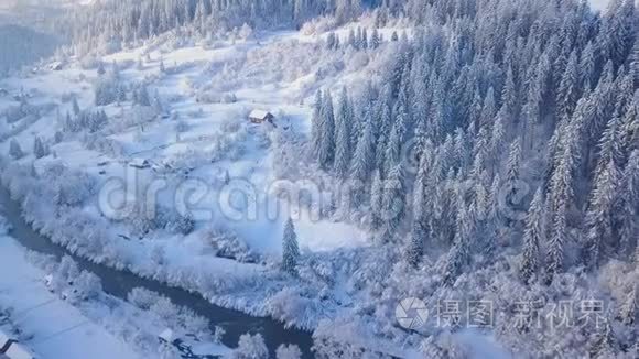 飞越雪山针叶林.. 晴朗晴朗的霜冻天气