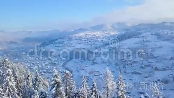 飞越雪山针叶林.. 晴朗晴朗的霜冻天气