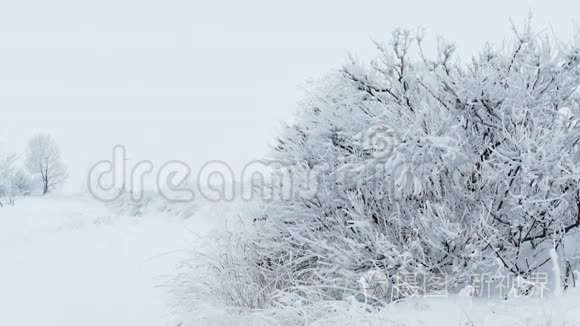 草冰雪冬天好冻.