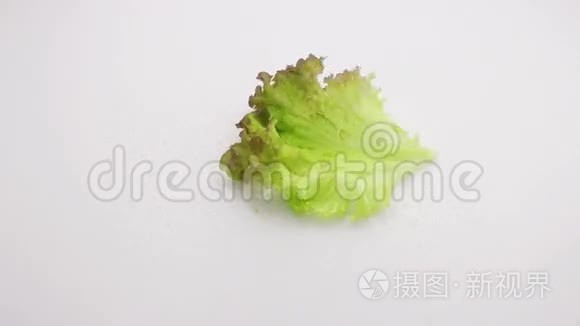 青生菜缓慢下落