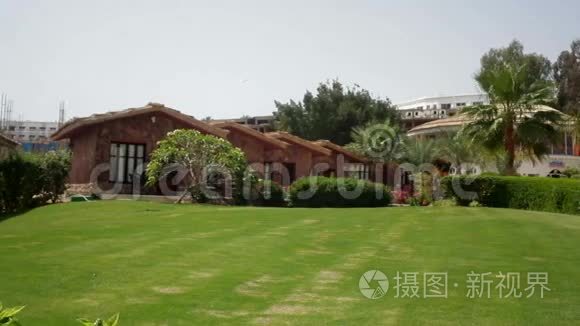 酒店背景上有棕榈树的绿色草坪视频