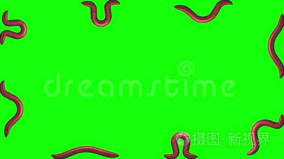 蠕虫在绿色，循环三维动画
