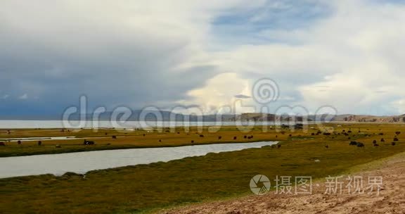4k云团滚滚翻过西藏纳姆索湖，牧民帐篷，一群牛。