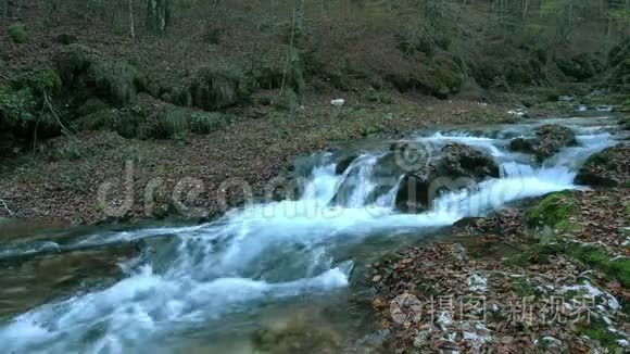 流进了树林.