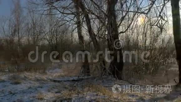 冬季景观白雪覆盖的森林，小树覆盖着冰雪湖。 寒冷的冬天。