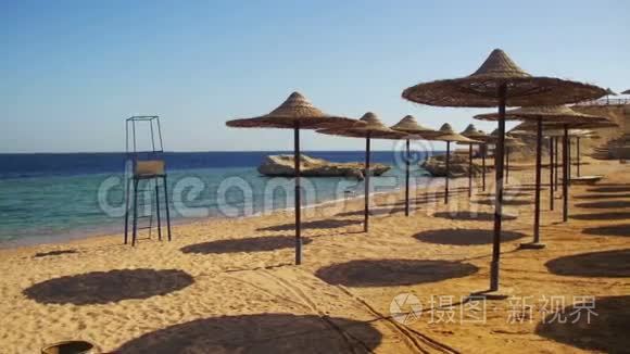 埃及，带雨伞的空阳光海滩，红海上的阳光床