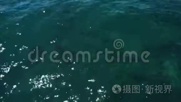 洁净海水视频