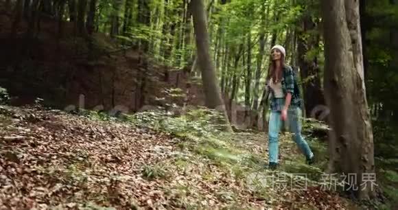 在森林里背包徒步旅行的女人视频