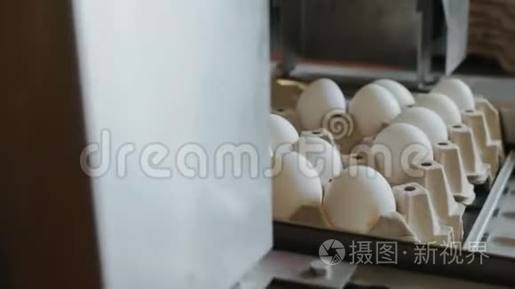 自动装置在家禽养殖场标记鸡蛋
