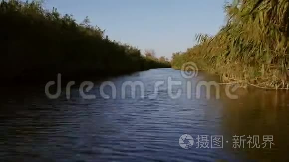 多瑙河三角洲湿地在运动视频