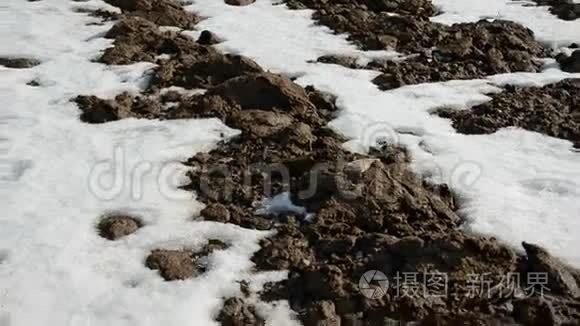 早春的雪在农田里视频