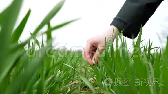 年轻的农业女生物学家检查收获