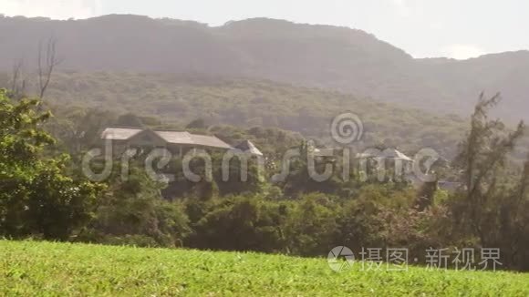 牙买加山地边热带天堂视频