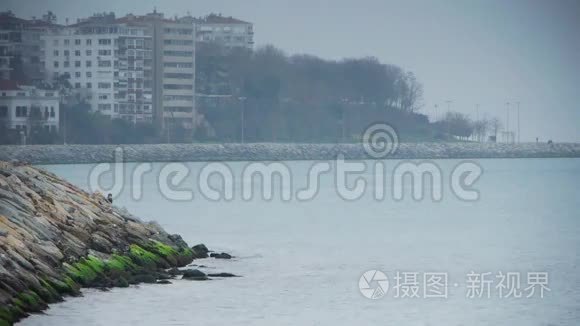 多云海岸伊斯坦布尔自然视频