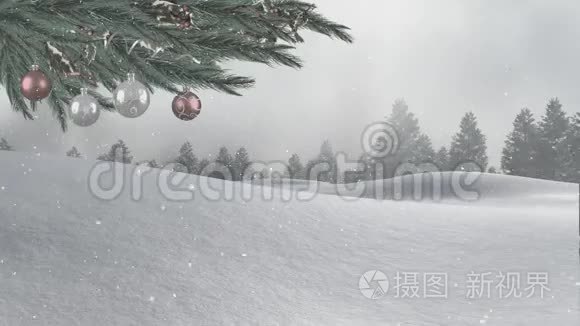 下雪和圣诞树