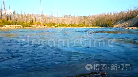 蒙大拿州北叉平头河视频
