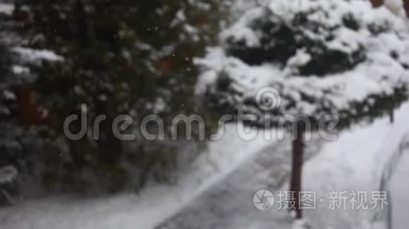 冬季雪园高清镜头